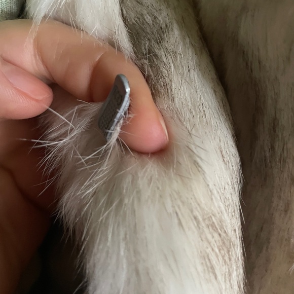 💯 Real Rabbit  Fur Teddy Jacket - Picture 9 of 9